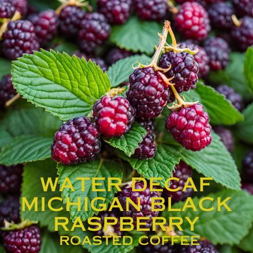 Water Decaf Michigan Black Raspberry Coffee - 1lb Bag
