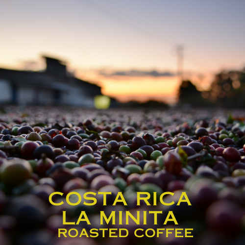 Costa Rica La Minita Coffee - 1lb Bag