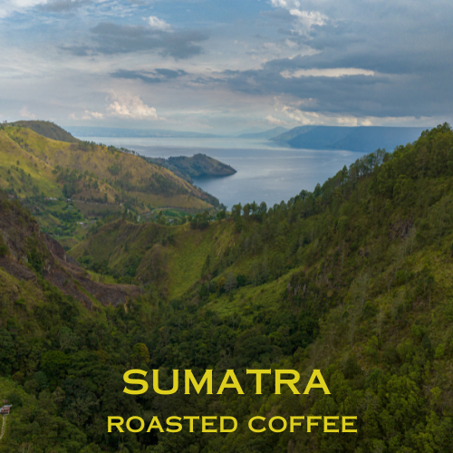 Sumatra Coffee - 1lb Bag