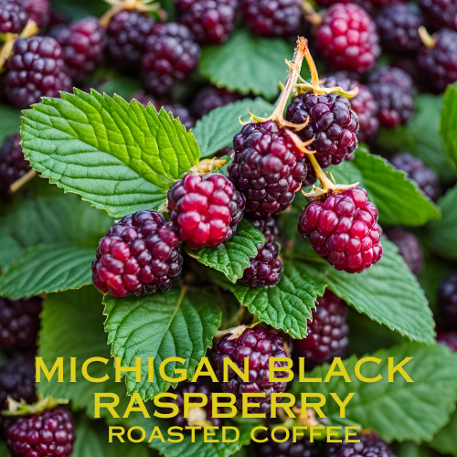 Michigan Black Raspberry Coffee - 1lb Bag