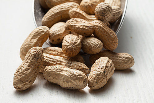 Roasted Peanuts in Shell in Burlap Bag